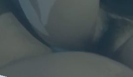 免费视频精品一区二区,亚洲午夜久久久影院伊人