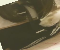 亚洲综合色婷婷七月丁香,美日韩一级黄色视频看看