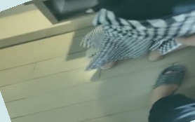 欧美极品专区高清在线观看,无码欧美毛片一区二区三