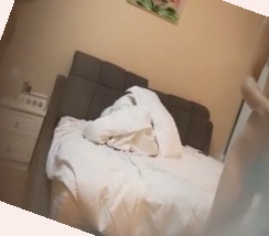 日产精品卡二卡三卡四卡乱码视频,国产免费人成视频在线观看播放