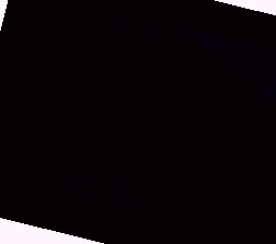 成人午夜精品久久久久久久,中文字幕有码在线观看