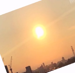 国产高清视频免费在线观看,日韩91综合在线视频观看