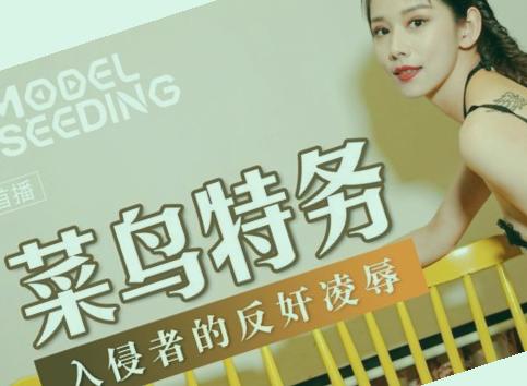 一级毛片在线免费视频,AV无码精品久久不卡网站