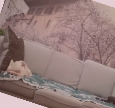 亚洲 欧美 国产 另类卡通,色欲久久久天天天综合网精品