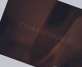国产午夜毛片精华无码网站,一级毛片视频在线观看
