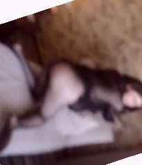 国产一级淫片a免费播放口欧美,91草莓丝瓜香蕉污污网站