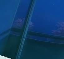 国产高清乱理伦片中文小说,国产欧美日韩精品专区