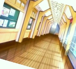 野花影视视频在线观看免费,国产精品人妻一区二区三区四