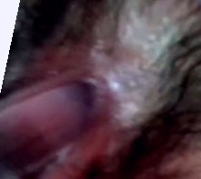 无码午夜福利视频一区,亚洲综合久久无码色噜噜赖水