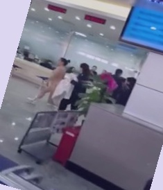 粉色水蜜桃和日本樱花区别,熟妇人妻久久中文字幕