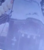 国产免费一区二区视频,国产色婷婷免费视频在线观看