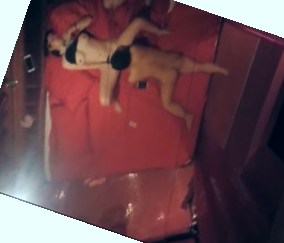 久久国产一 片免费观看,野花香视频在线观看免费高清版